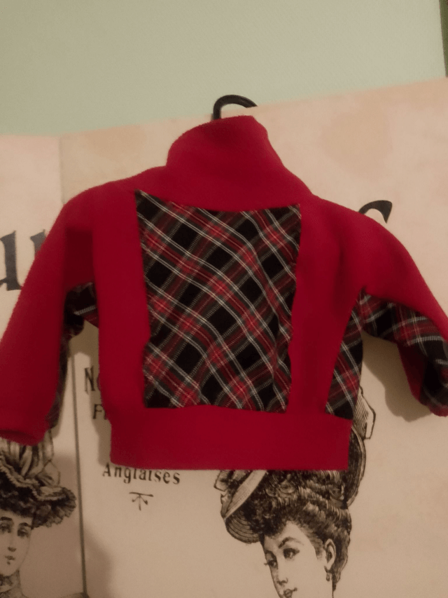 [Destockage proto] Pull évolutif col montant