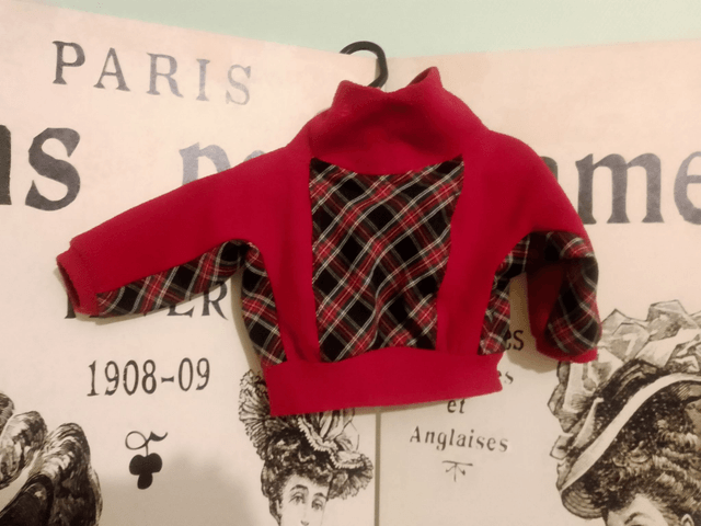 [Destockage proto] Pull évolutif col montant